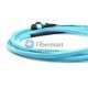 24 Fibers OM4 Multimode 12 Strands MTP Trunk Cable 3.0mm LSZH/Riser