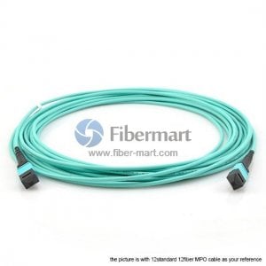 12 Fibers OM4 Multimode 12 Strands MPO Trunk Cable 3.0mm LSZH/Riser