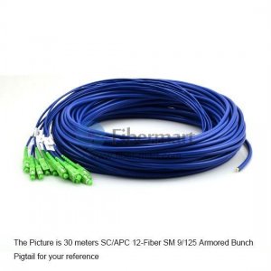 8-fiber 3.0mm 9/125 Single-mode LC/SC/ST/FC Armored Bunch Pigtail