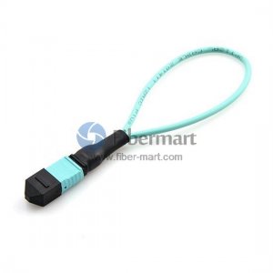 100GBASE SR-10 MTP/MPO 24 Fiber OM3 Female Loopback Cable