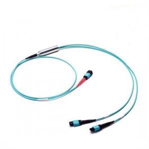 1M MTP Female to 2x MTP Female 24 Fibers OM3 Multimode Conversion Cable, Polarity B, LSZH Bunchch