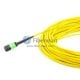 32 Fibers MPO-32 SingleMode 32 Strands MPO Fiber Trunk Cable 3.0mm LSZH/Riser