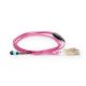 8 câbles de harnais des fibres OM4 12 brins MPO 3.0mm LSZH/Riser