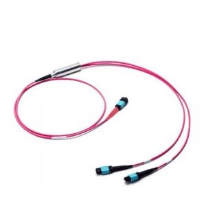 1M MTP Female to 2x MTP Female 24 Fibers OM4 Multimode Conversion Cable, Polarity B, LSZH Bunch