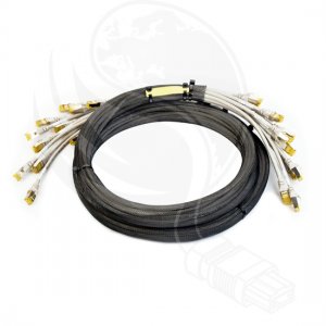 Cat5e Trunk Cable