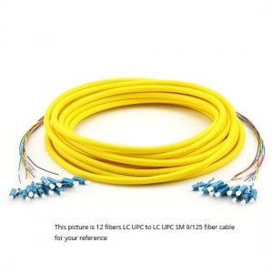 12 Fibers LC to SC 9/125 Single Mode MultiFiber PreTerminated Breakout Trunk Cable