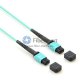 24 Fibers OM4 Multimode 12 Strands MTP Trunk Cable 3.0mm LSZH/Riser