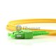 SC/APC to E2000/APC Singlemode 9/125 Duplex Fiber Patch Cable