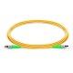 2 м ФК APC к FC APC Simplex 2.0mm PVC (OFNR) 9/125 кабель для патча
