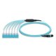 Cable de arnés HD multimodo OM3 de 5M MTP macho a 6 LC UPC dúplex de 12 fibras, polaridad A, manojo LSZH