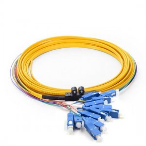 12 Fibers LC/SC/FC/ST/E2000 OS2 Siglemode Ribbon Fiber Optic Pigtail