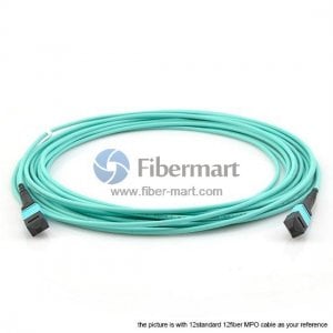 24 Fibers OM3 Multimode 24 Strands MPO Trunk Cable 3.0mm LSZH/Riser