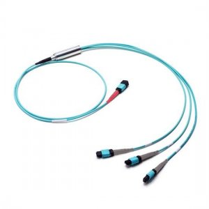 10M MTP Female to 3x MTP Female 24 Fibers OM3 Multimode Conversion Cable, Polarity B, LSZH Bunch