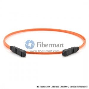 24 Fibers Multimode OM2 24 Strands MTP Trunk Cable 3.0mm LSZH/Riser