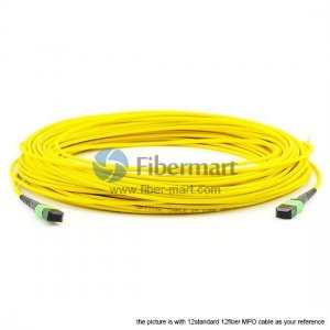 144 Fibers Single-Mode 24 Strands MTP Trunk Cable 3.0mm LSZH/Riser