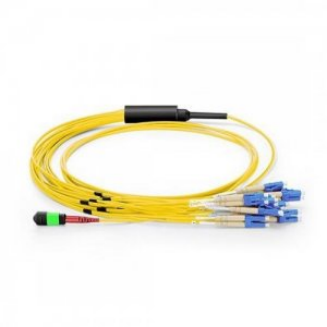 Custom MTP & MPO cable